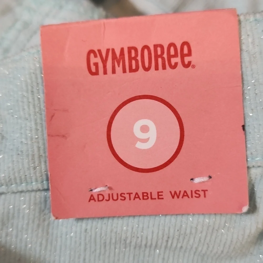 Gymboree Light Blue Sparkle Corduroy Pants Size 9 NWOT